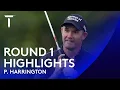 Padraig Harrington moves a tree during eventful opening round  | 2020 Dubai Duty Free Irish Open