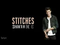 Shawn Mendes - Stitches (Lyrics)