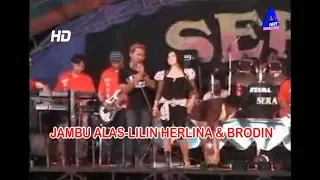 Download Jambu Alas-Lilin Herlina \u0026 Brodin Om Sera Lawas Campursari MP3