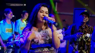 petualang cinta mimin aminah jayen pro