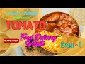 Day 1 Build a Food Delivery App Like Tomato Using React JS Project Tutorial for Beginners