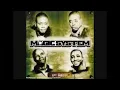 Magic system - premier gaou 432hz