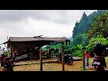 Download Lagu CUKUP 5RB !! WARUNG KOPI BEBAS MENIKMATI ALAM SEPUASNYA ,,PELOSOK PEDESAAN 