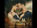 Download Lagu Homa dol  Full audio song  lyrics 2024