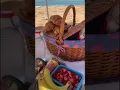 Download Lagu Beautiful Hidden Beach tiktok jolouburg