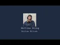 Download Lagu Hotline Bling Billie Eilish cover instrumental Looped best part extended version