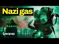 How Zyklon B Behaved Once Inhaled - The Chemical Aspects of the Holocaust's Lethal Gas