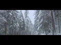 Caltrans closes Highway 50 to clear snow and do avalanche control