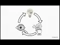 Agentic Planning and Reflection in LLMs How AI Agents Think Plan and Improve