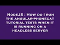 NodeJS How do I run the angular-phonecat tutorial tests when it is running on a headless server