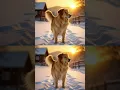 Download Lagu dog ka malik jo dog ko akela Chada ke jata he#trending #pets #aivideo #shorts #animation #animal