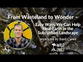 From Wasteland to Wonder - Easy Ways We Can Help Heal Earth in the Landscape