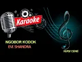 Download Lagu NGOBOR KODOK || EVI SHANDRA || KARAOKE LIRIK