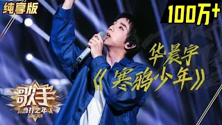Download Singer2020 Pure Song Version - Hua Chenyu \ MP3