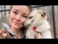 Download Lagu Blind Arctic Fox Was Thrown Away Like Trash — Now He Sleeps On His Rescuer’s Head