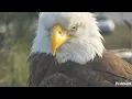 SWFL Eagles Heartbreaking Update On F23 From SWFEC Soar High Forever Free F23 3 3 26
