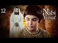 Download Lagu Kisah Nabi Yusuf AS | Episode 12 | Bahasa Indonesia