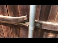 Which Type Of Wood Fence Treated Pine Vs Cedar - DFW FEnce contractor