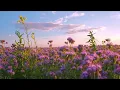 Download Lagu bergema sampai selamanya (slowed tiktok version) earphone recommended