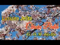 Download Lagu Cincin Putih Karaoke - Lusyana Jelita Adella