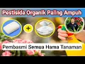 Download Lagu Pestisida Organik Paling Kuat Untuk Semua Hama Tanaman, Cara Membuat Pestisida Organik Paling Ampuh!