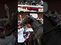 Download Lagu Sovereignty Is Perfect #HorseRacing