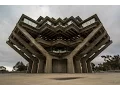 In The Field Geisel Library