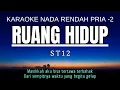 Lagu ST12 - Ruang Hidup (Karaoke Lower Key Nada Rendah Pria -2 Bb)