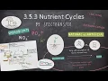EASY REVISION AQA A-Level Biology 3 5 4 Nutrient Cycles