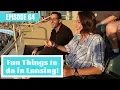 Fun Things To Do In Lansing Michigan - Lansing Lugnuts Potter Park Zoo and more
