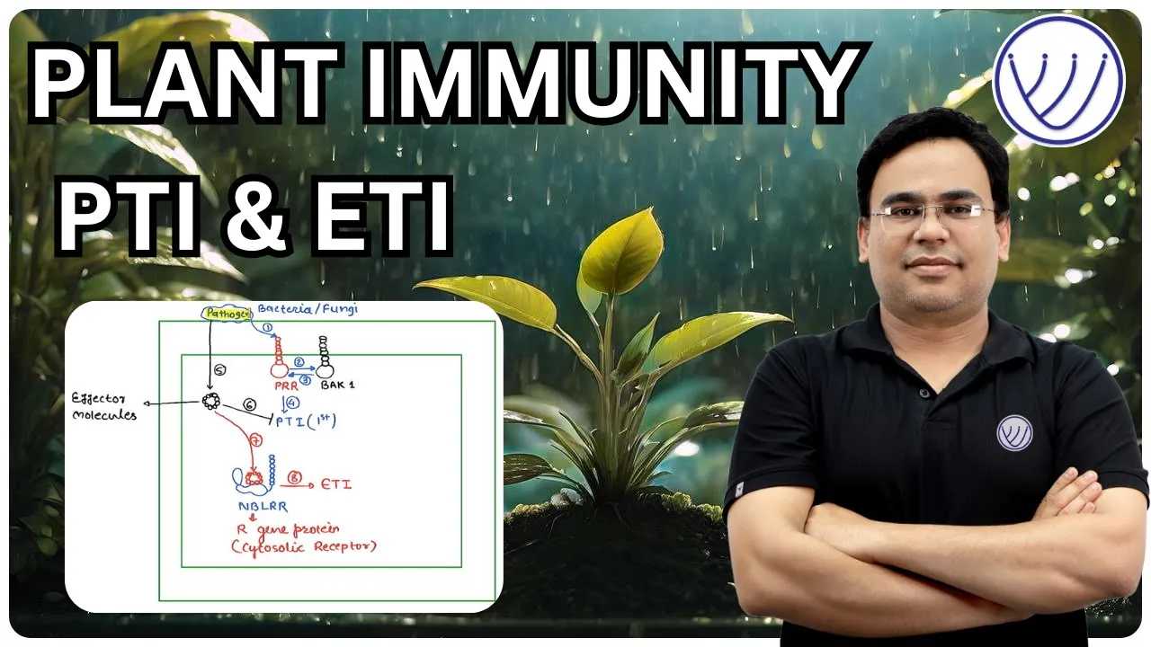 PLANT IMMUNITY | PAMPs | MAMPs | Pattern Triggered Immunity | Effector Triggered Immunity | CSIR