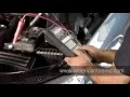 American Tire - About Us