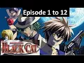 Download Lagu Black Cat - Episodes 1 to 12 - Tagalog Dub / ISLA NG ANIME