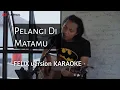 pelangi di matamu - felix version karaoke
