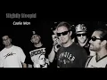 Slightly Stoopid - Collie Man