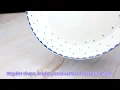 a simple stylish bone china plate with blue polka dots on the edge