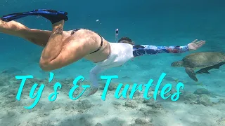 SDA33 Ty’s and Turtles. Mostly Turtles – Little Farmers Cay