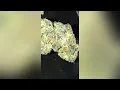 Animal Cake Strain Review Smk Brk 420