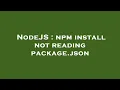 NodeJS npm install not reading package json