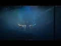 Vicio - Camilo Séptimo (Show 360 en vivo desde el palacio de los deportes, 2024)