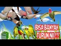 Download Lagu Suara Pikat Semua Burcil Biar Turun Ampuh dan Gacor Plus 2023