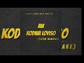 Aw Kodwa Loyiso (Deejay Zebra SA & Pro-Tee Remake)