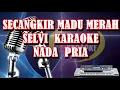 Download Lagu SECANGKIR MADU MERAH SELVI Nada Pria   Karaoke