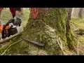 Stihl ms 400 c Vs Stihl ms 362 c