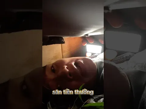 Tìm ra căn phòng bí mật trong lòng đất