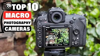 top 10 best cameras for macro photography on amazon