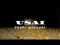 Download Lagu POPPY MERCURY – USAI [Lyrics]