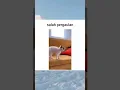 Download Lagu Kucing Menggongong Seperti Suara Anjing #shorts #short #fyp #trending #viral #ytshorts