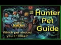Download Lagu A Guide for Hunter Pets - World of Warcraft Classic