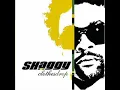 Shaggy Piece of My Heart